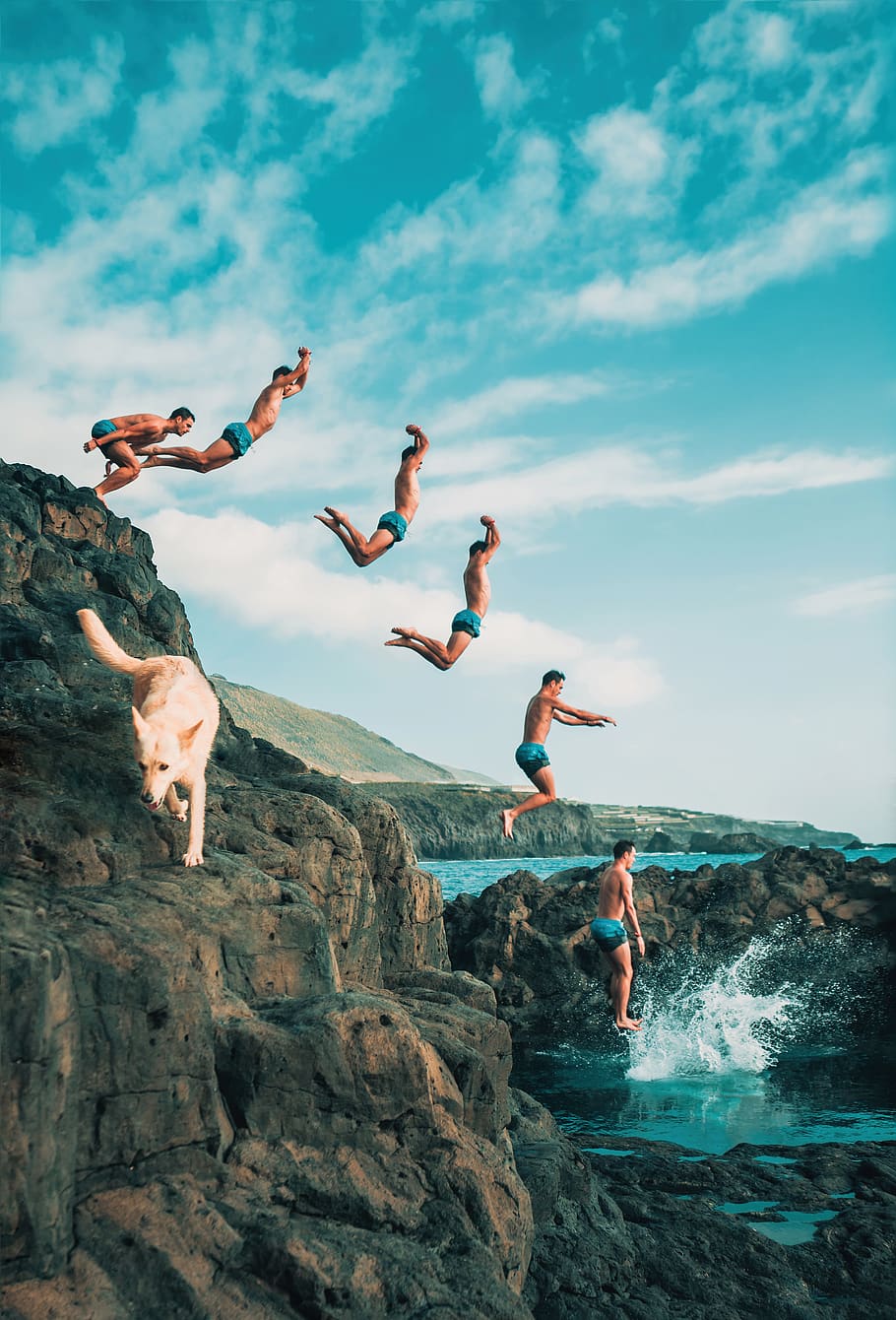 spain, sea, diving, dive, shore, dog, timelapse, jumping, summer HD wallpaper