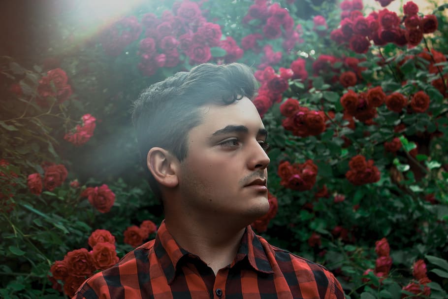 headshot, portrait, young adult, one person, plant, looking HD wallpaper