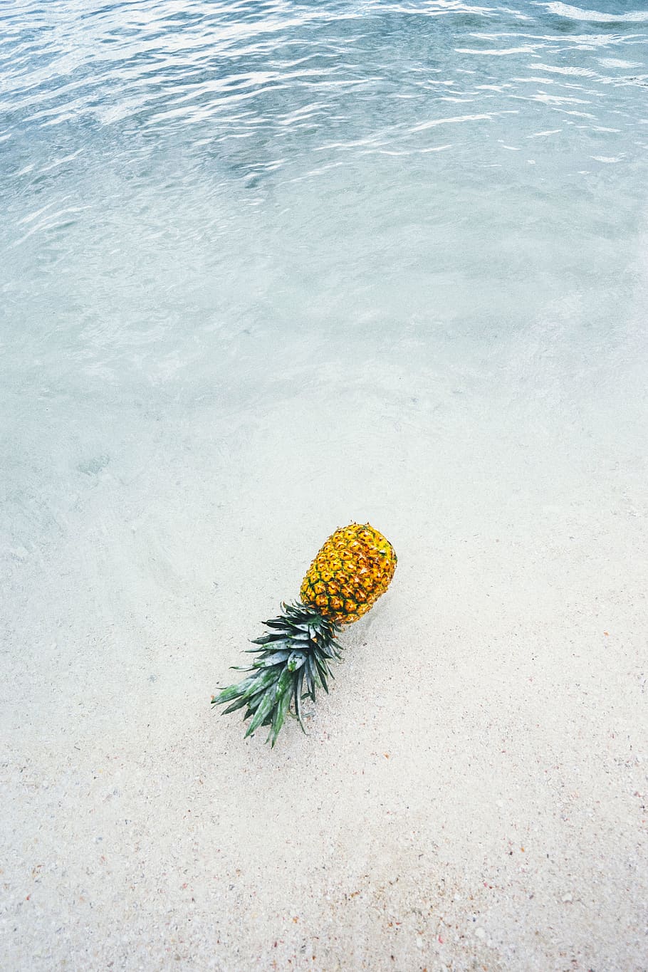 pineapple, dessert, food, appetizer, fruit, juice, beach, ocean HD wallpaper