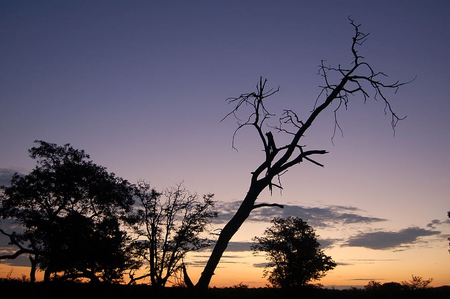 botswana, tuli wilderness, clouds, sunset, safari, africa, nature HD wallpaper