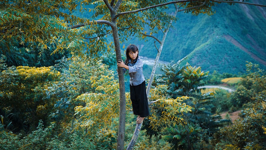 children, one person, standing, plant, leisure activity, tree HD wallpaper