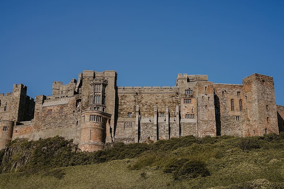 brown castle on hill, history, the past, architecture, built structure HD wallpaper