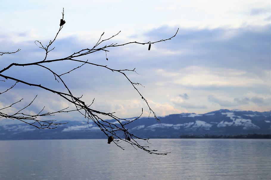 water, lake, glow, tree, monolithic part of the waters, the horizon HD wallpaper