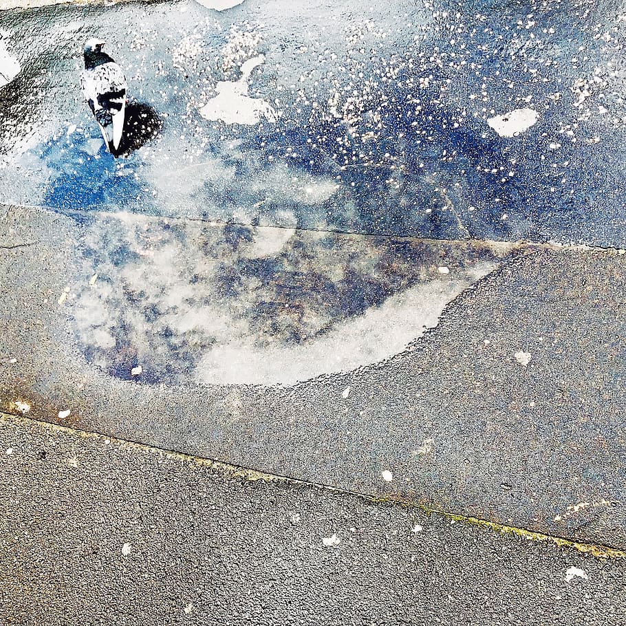 black and white ceramic tile, puddle, serbia, jelene ćetković 8 HD wallpaper