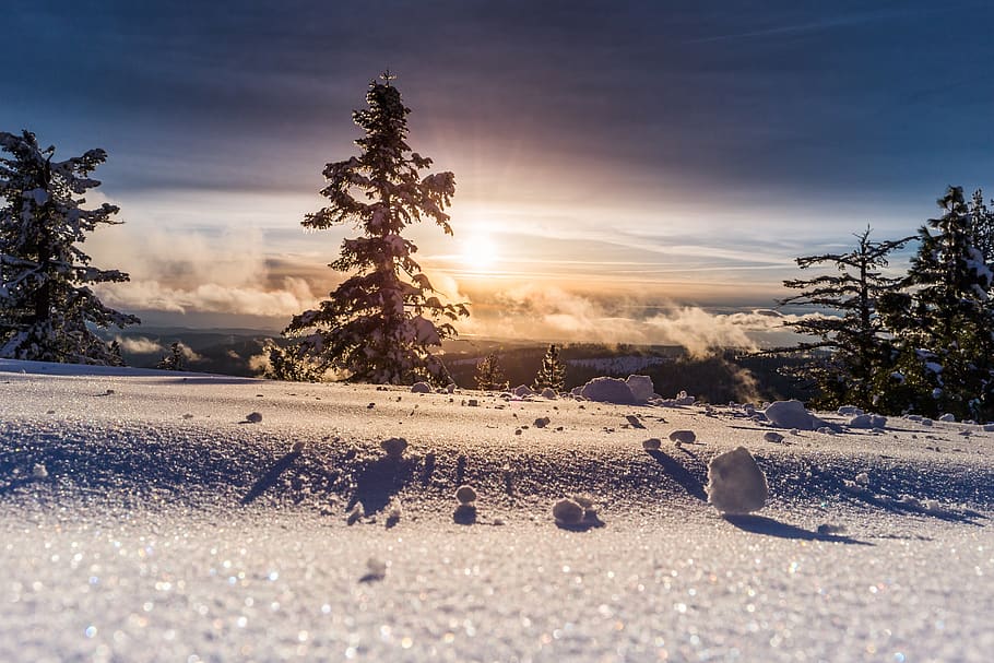 trees, plant, snow, winter, landscape, nature, iceberg, cloud HD wallpaper