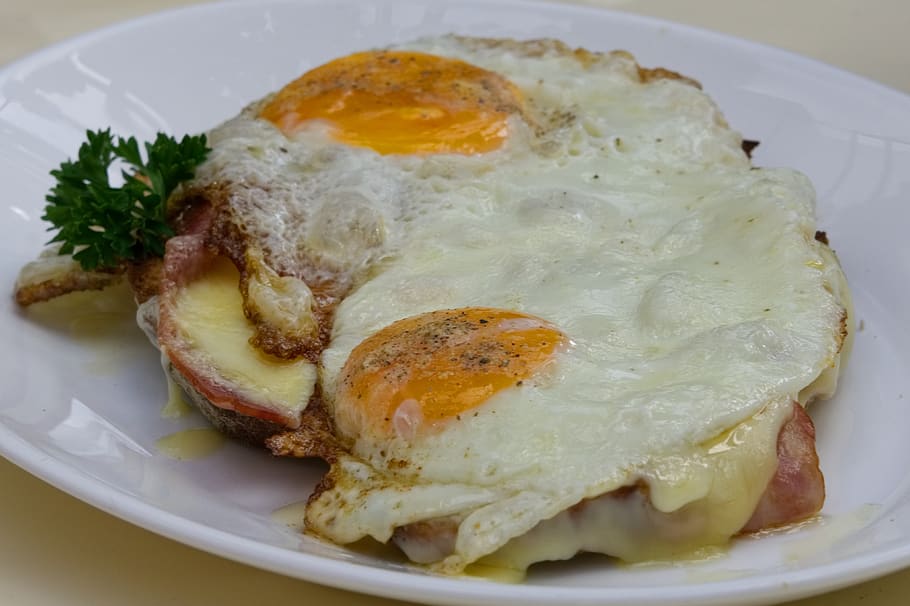 fried, egg, bread, yolk, fried eggs, food, eat, eggs sandwich HD wallpaper