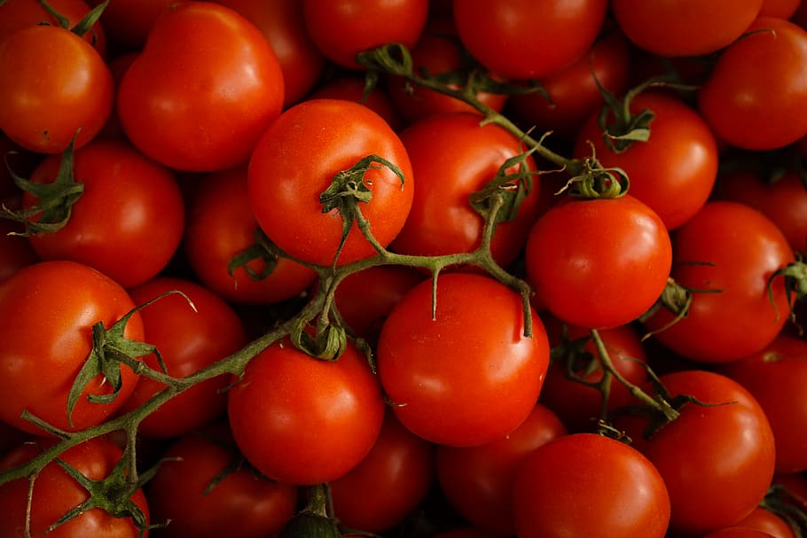 red cherry tomatoes, food and drink, vegetable, fruit, healthy eating HD wallpaper