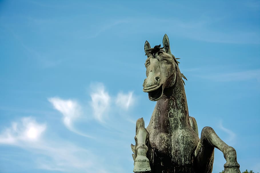 horse, statue, fun, positive, laugh, humor, sculpture, monument HD wallpaper