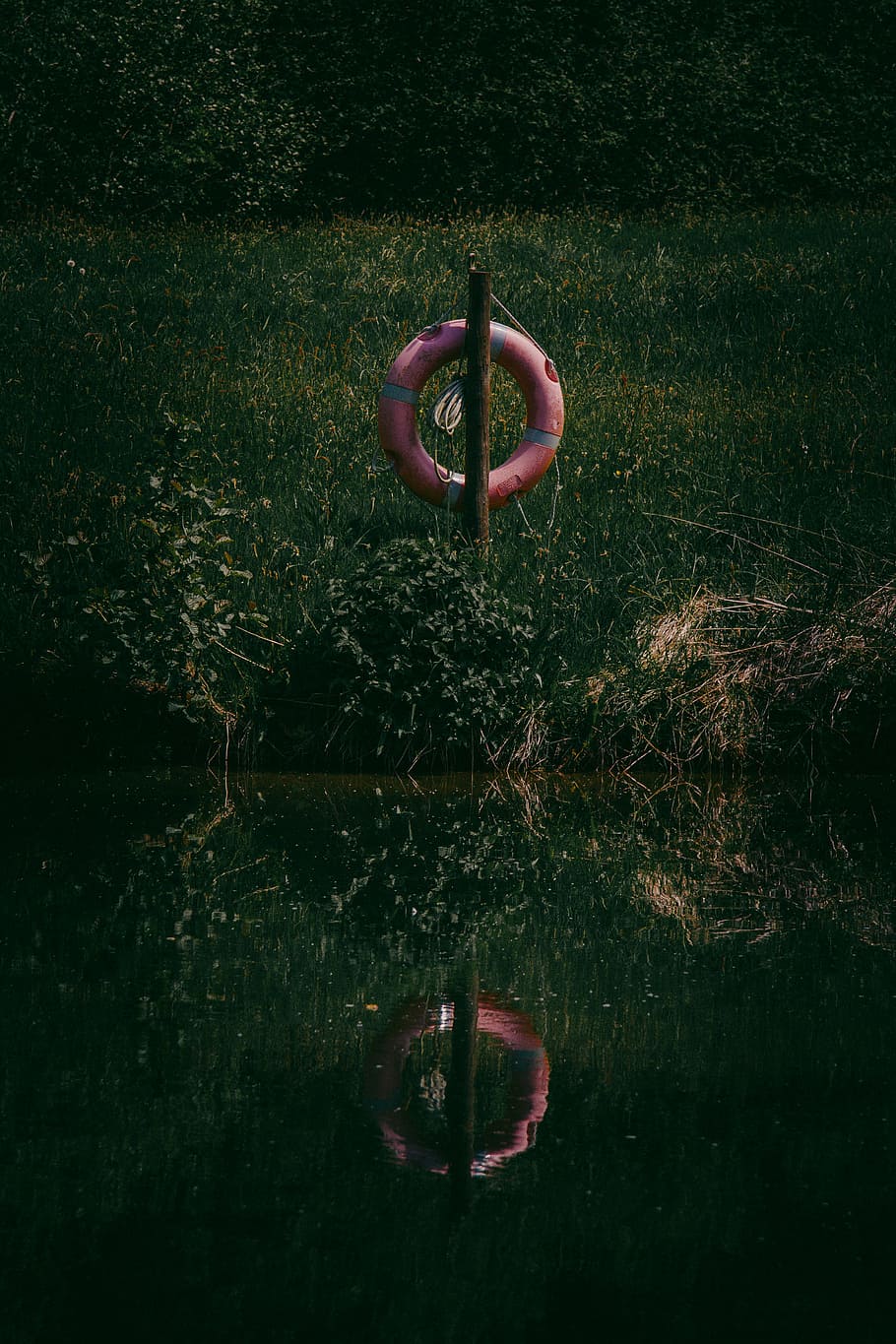 lifesaver, ring, river, refelction, water, lake, sea, swamp HD wallpaper
