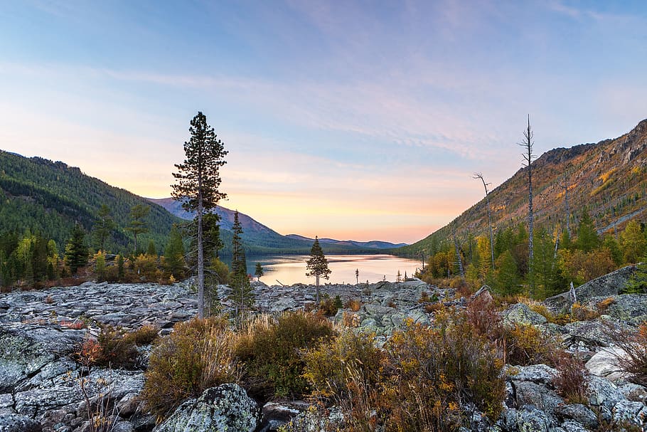 altai, nature, sunset, noise, lake, tree, pine, stones, russia HD wallpaper