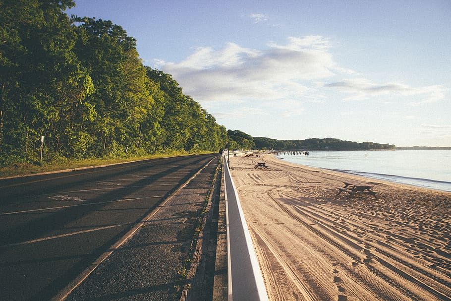 tree, sky, transportation, plant, road, day, nature, water HD wallpaper
