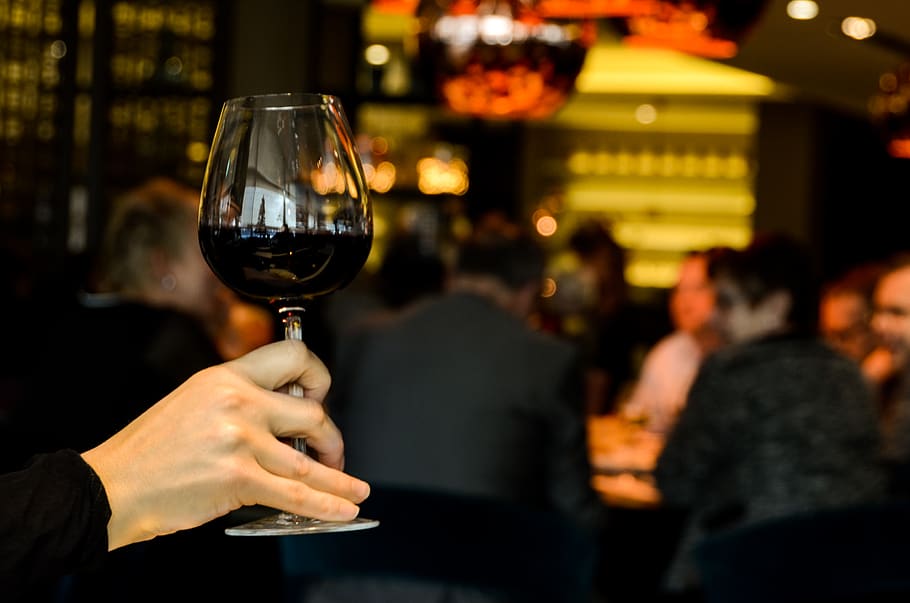 Person Holding Wine Glass, alcohol, dinner, drinking, friends HD wallpaper