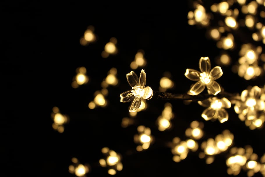 lights, christmas, leds, white, yellow, illuminated, lighting equipment HD wallpaper