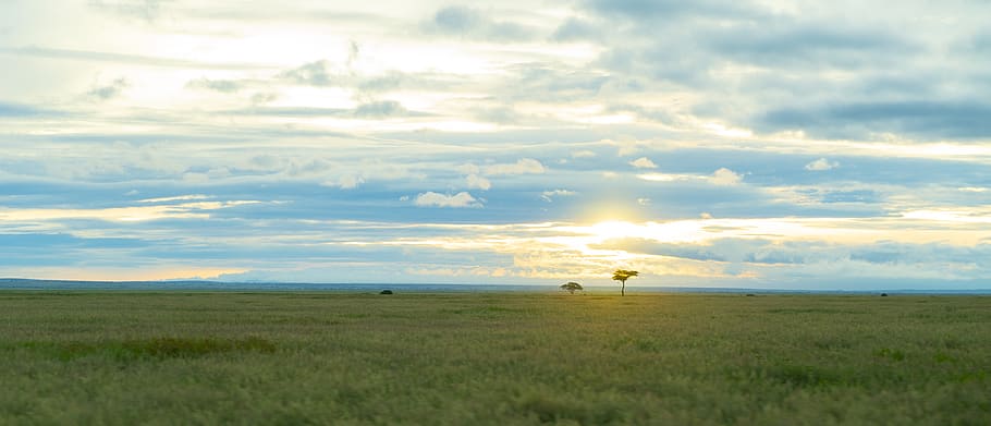 kenya, amboseli national park, clouds, sky, trees, sun, africa, HD wallpaper