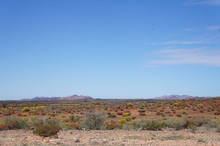 australian desert, outback australia, landscape, scenic, scenics - nature