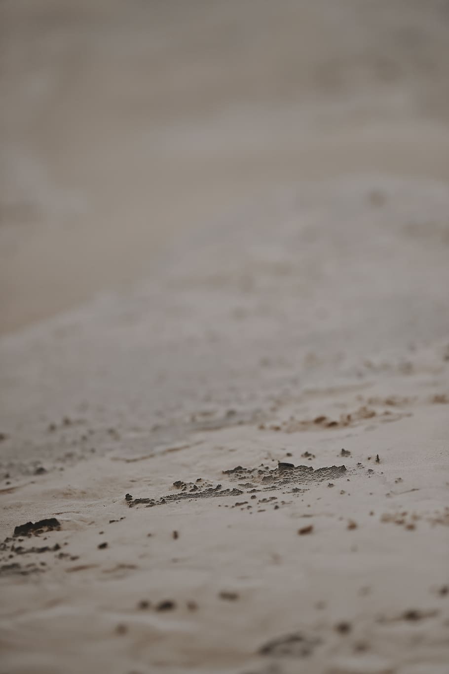 brown sand, selective focus, no people, backgrounds, full frame HD wallpaper