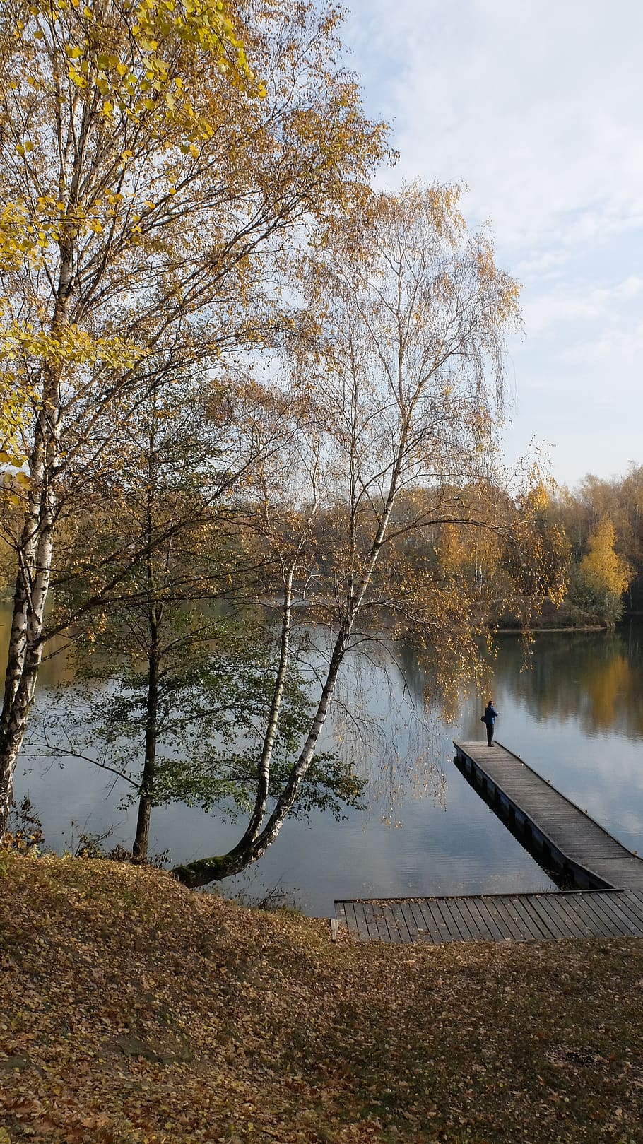 lake, bridge, birch, water, tree, plant, tranquility, reflection HD wallpaper