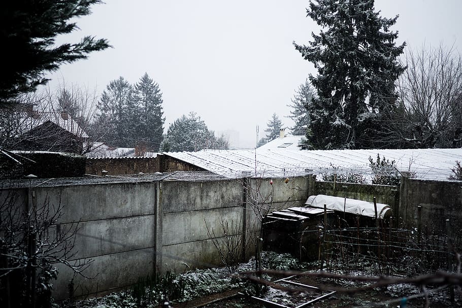 france, mâcon, haze, trees, yard, snow, serene, quiet, hamlet HD wallpaper