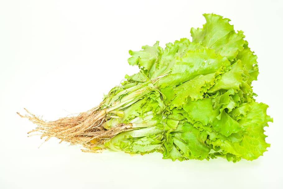 fresh, lettuce, leaves, heap, white, food and drink, healthy eating HD wallpaper