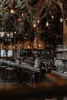 brown pendant light, restaurant, bar, cafe, lazy, tree, thé HD wallpaper