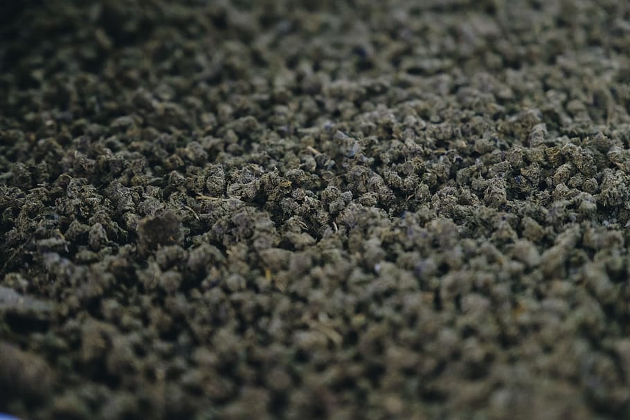 carpet, home decor, soil, green, grey, full frame, selective focus HD wallpaper