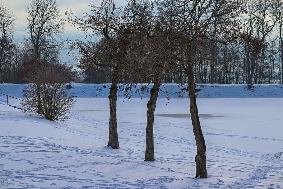 wintry, lakeside, frozen, snow, cold, rest, quiet, landscape HD wallpaper