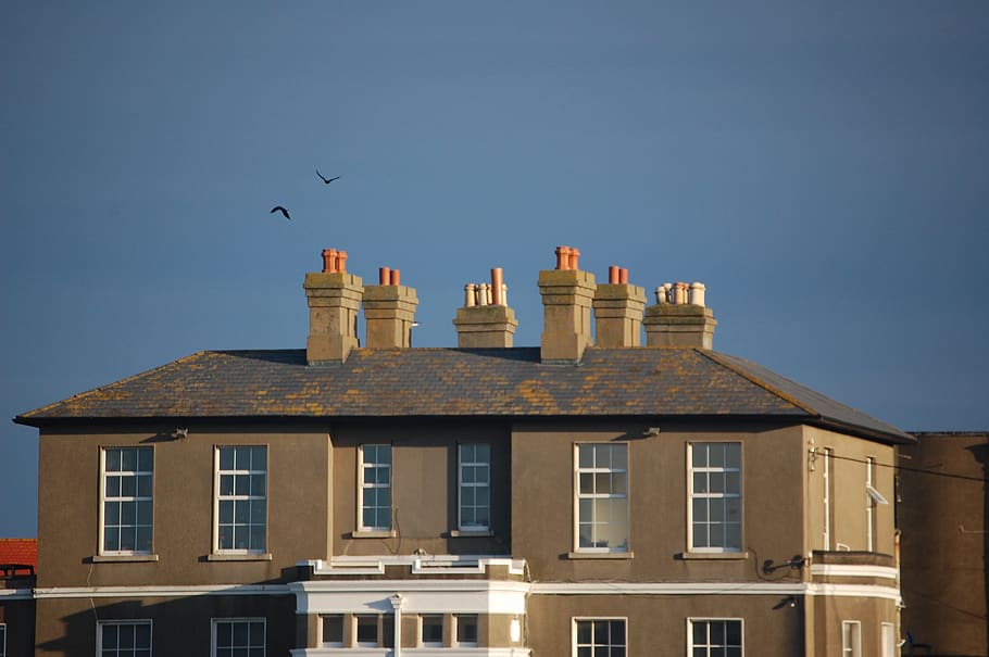 ireland, greystones, house, chimney, birds, building exterior, HD wallpaper