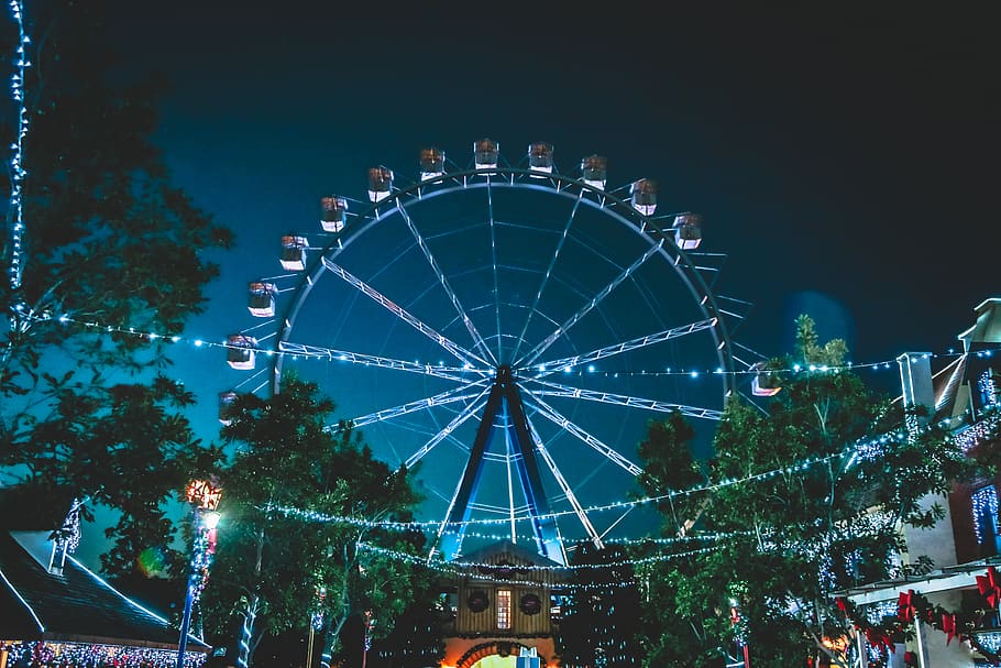 People on Ferris Wheel, carnival, dark, evening, height, high HD wallpaper