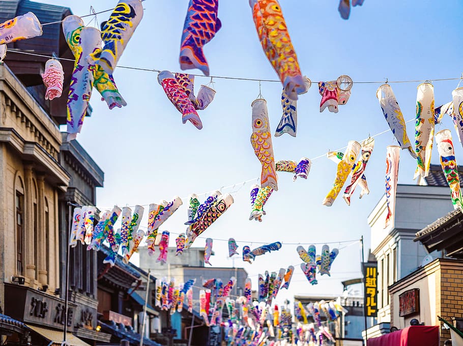 assorted-color carp kite lot, hanging, sky, multi colored, decoration HD wallpaper