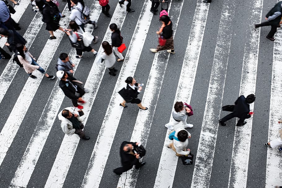 Online crop | HD wallpaper: city, group of people, street, crosswalk ...