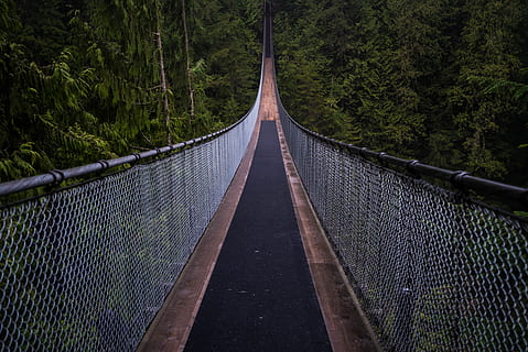 black and gray bridge surrounded by trees, building, suspension bridge HD wallpaper
