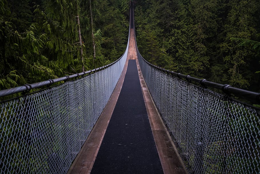 black and gray bridge surrounded by trees, building, suspension bridge HD wallpaper