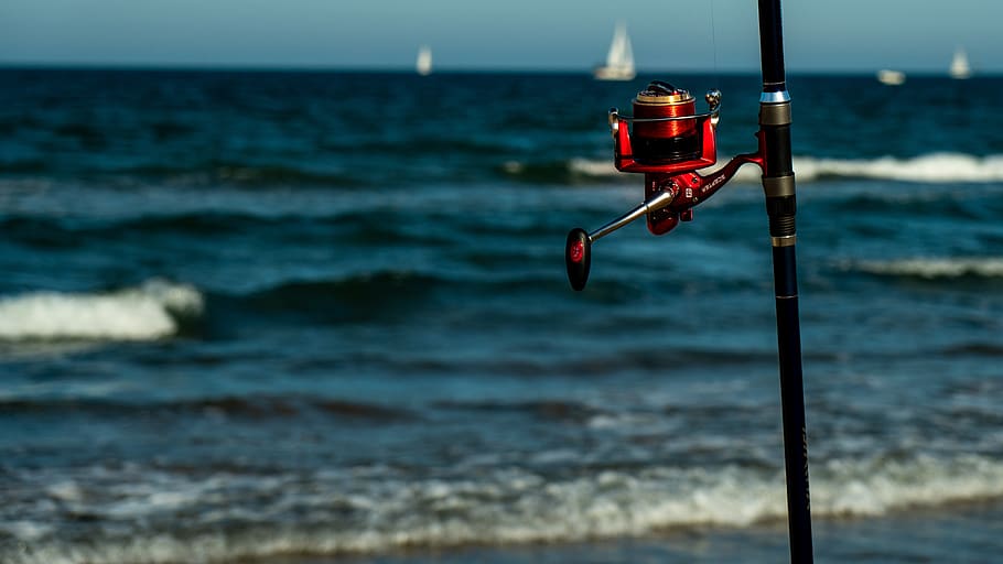 fishing, cane, sea, patience, hobby, reel, water, horizon over water HD wallpaper