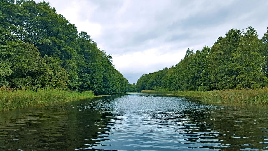 lake, water, tree, green, nature, body of water, outdoor, himmel HD wallpaper