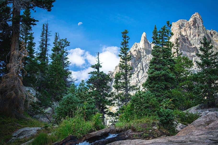 green trees and white mountains, plant, beauty in nature, tranquil scene HD wallpaper