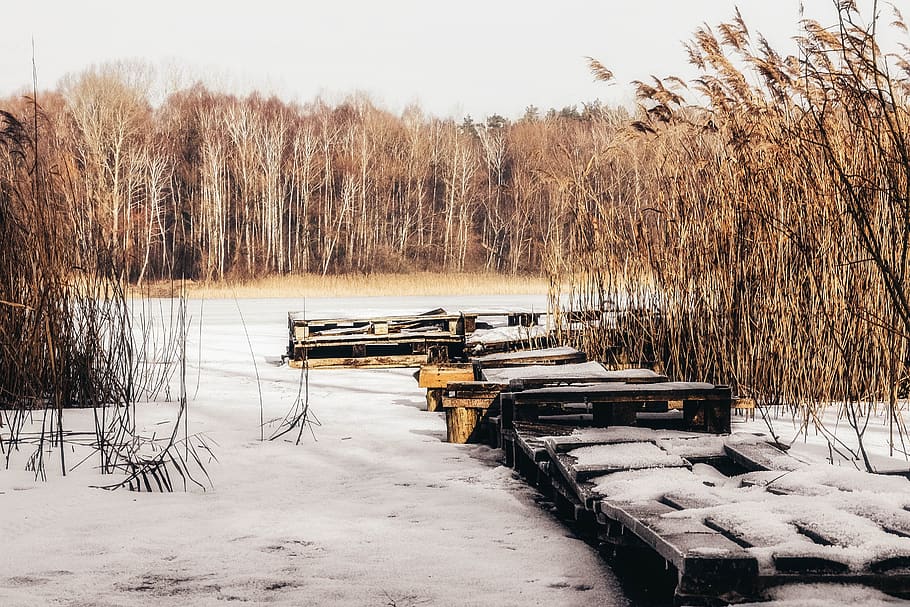 winter, snow, nature, landscape, cold, ice, frozen, tile, mood HD wallpaper