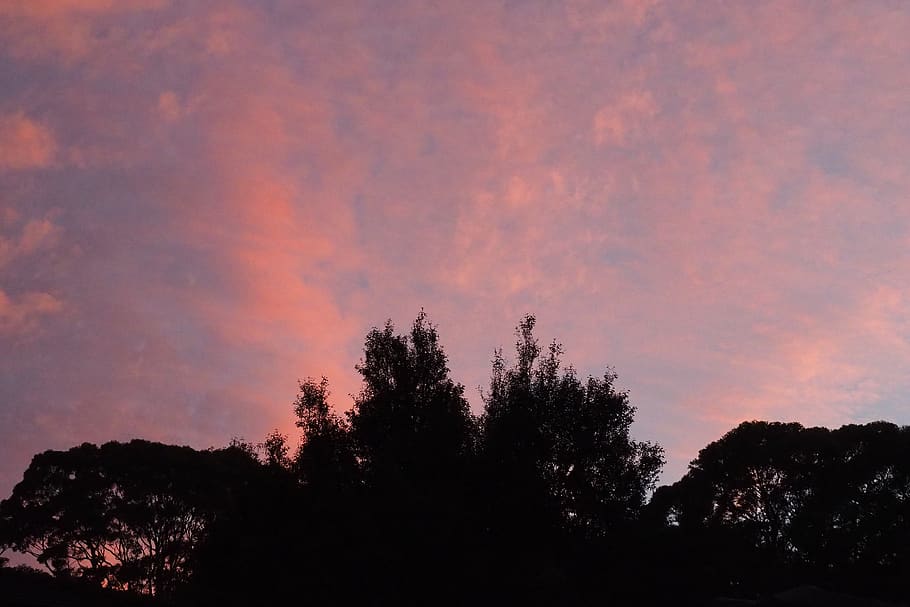 trees, sky, home, silhouette, cloud - sky, beauty in nature HD wallpaper