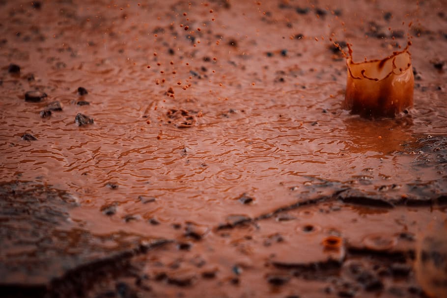 water, rain, drop, drops, selective focus, no people, wet, nature HD wallpaper