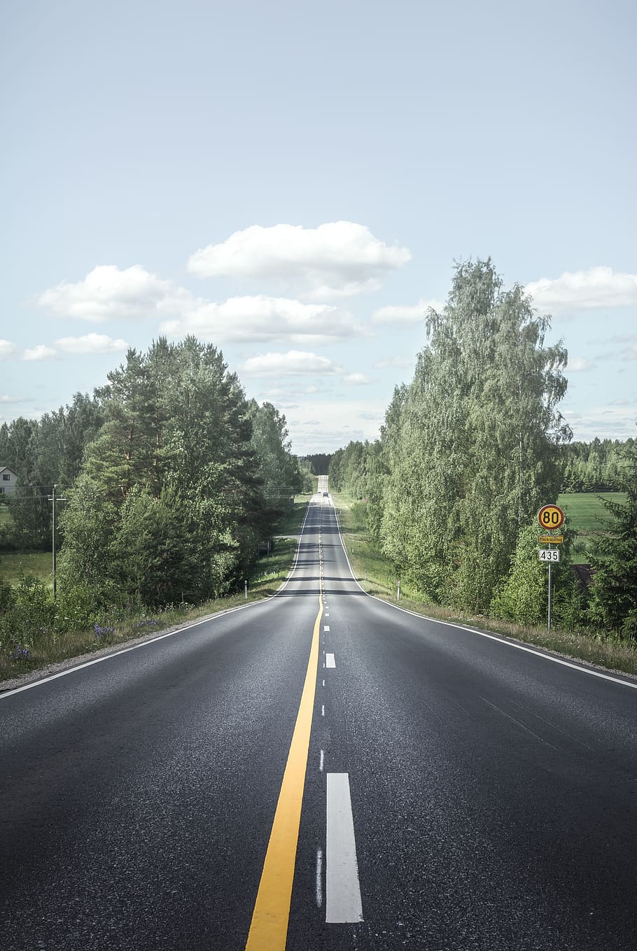 road between trees, sign, transportation, road marking, symbol HD wallpaper