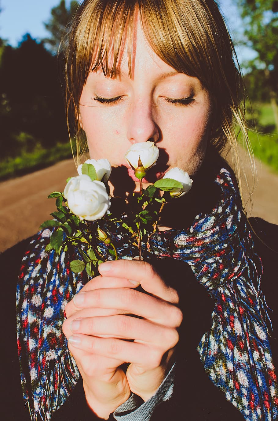 summer, spring, rose, flower, flowers, smell, contact, communication HD wallpaper