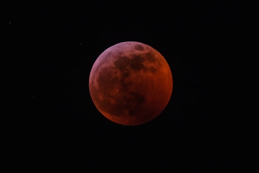 blood moon, space, astronomy, night, sky, full moon, beauty in nature HD wallpaper