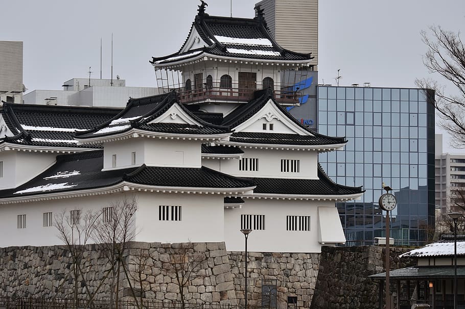 building, castle, toyama castle, japan, city, hokuriku, the middle ages