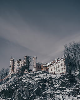 White Castle on Rock Formation, ancient, architecture, bare tree HD wallpaper