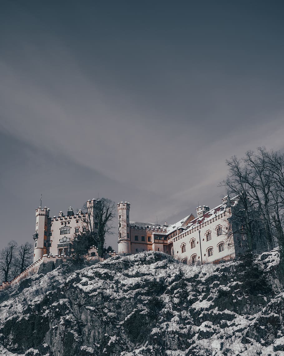 White Castle on Rock Formation, ancient, architecture, bare tree HD wallpaper