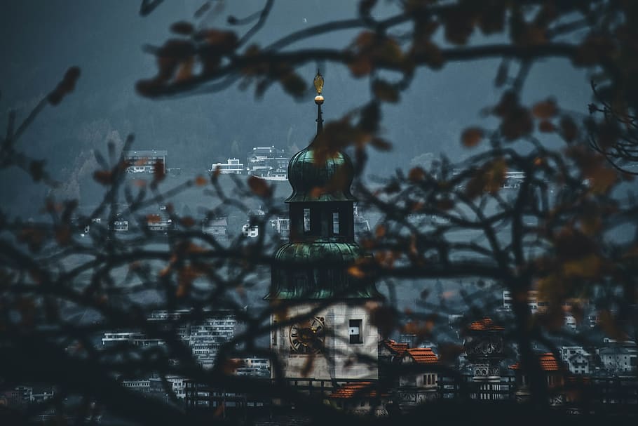 Branches , buildings, city, tree, building exterior, architecture HD wallpaper