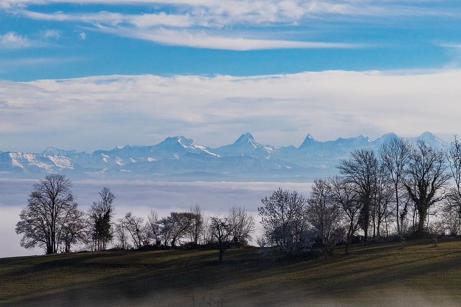 fog, mountain range, eiger, monk, finsteraarhorn, bernese alps HD wallpaper