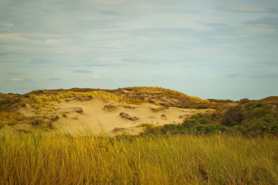 beach, dune, sand, sea, north sea, vacations, nature, summer HD wallpaper