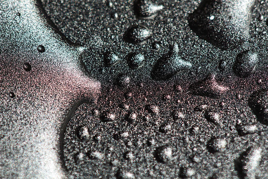 czechia, choceradská, close-up, water, drop, no people, nature HD wallpaper
