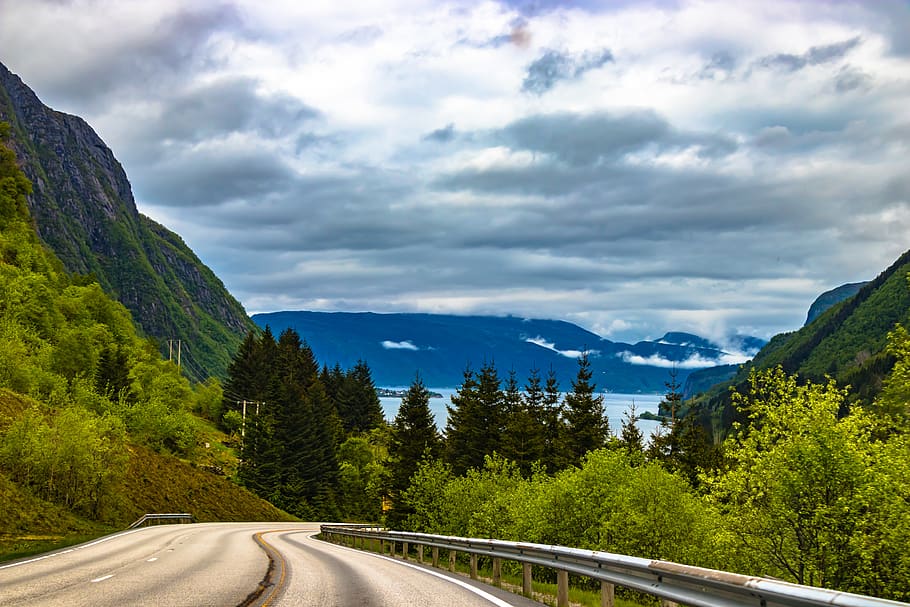 Grey Pathway Surrounded by Green Trees on Both Sided Leading to Blue Moutains Under Grey Cloudy Sky HD wallpaper