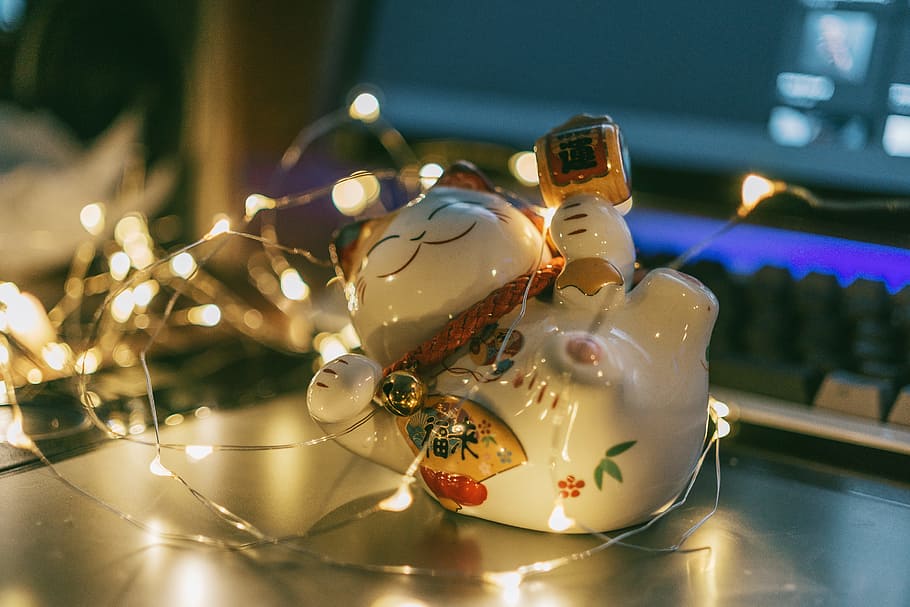 White Ceramic Cat Figurine With String Lights, blurred background HD wallpaper